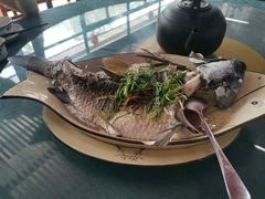-古榕农庄·桑拿簸箕菜·招牌泥焗鸡(清远长隆店)