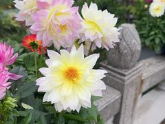 -苏州上方山国家森林公园