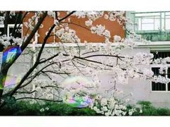 -武汉市第四中学