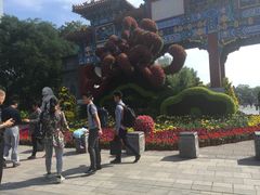 -迎泽公园