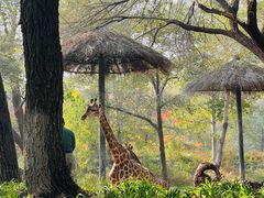 -北京野生动物园