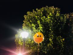 -世纪钟