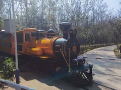 -合肥滨湖国家森林公园