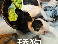 -小时光咖啡馆(北锣鼓巷店)