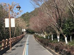 -杭州半山国家森林公园