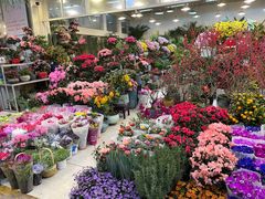 -双季花艺园艺市场(浦东店)