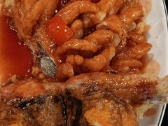 -金龙寨(龙城路店)