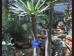 -国家植物园南园