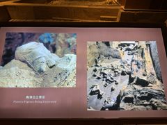 -秦始皇帝陵博物院(兵马俑)