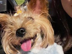 -爱侣宠医·鹦鹉专科·小型哺乳类·异宠专科(灵石路店)