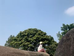 -火炉山森林公园