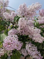 -加帕瑜伽培训学院