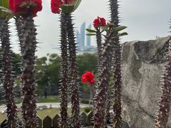 -胡里山炮台