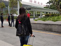 -麦当劳(深圳北站高铁店)