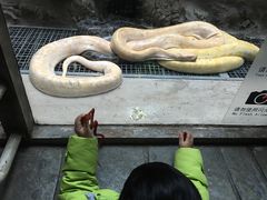 -北京动物园