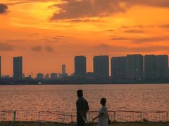 -瑶湖郊野森林公园