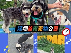 -景田北六街公园宠物主题园