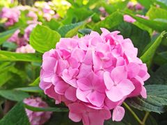 -共青国家森林公园-售票处