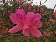 -梧桐山风景名胜区