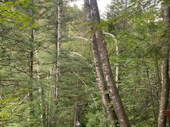 -峡谷浮石林景区