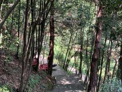 -鄣山大峡谷