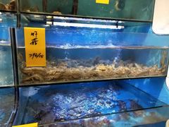 水产区-星龙海鲜(望江东路店)