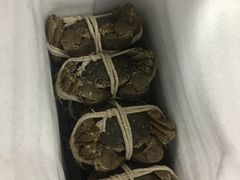 -喜洋洋蟹庄(阳澄湖店)