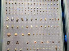 -贝林大翅鲸简餐厅(国家海洋博物馆店)