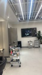 -蚂蚁造型俱乐部