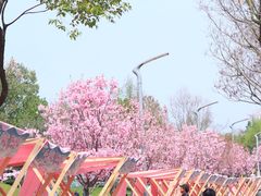 -武汉园博园(武汉自然博物馆)