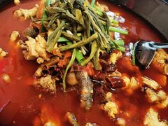 -重庆烧鸡公火锅(簋街店)
