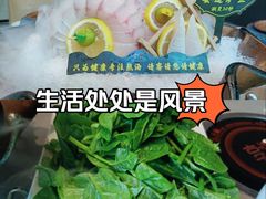 -享月汤皇(高新区店)
