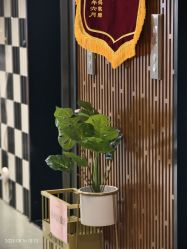 -诗安国际母婴会所 月子会所中心(市政府店)