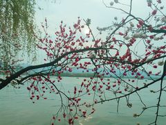 -西湖天地