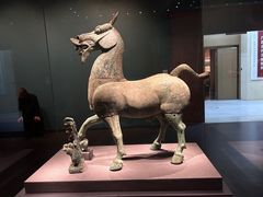 -广西壮族自治区博物馆