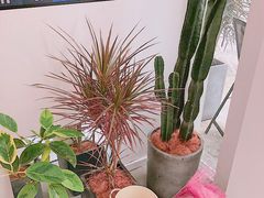 -花沐 FLOWER BATH(凤凰城店)