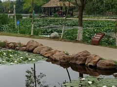-前关湿地公园
