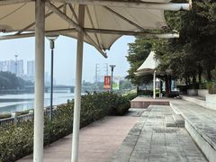 -光明港公园
