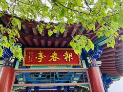 -北京西山国家森林公园