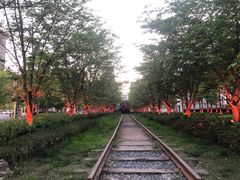 -新天地活力PARK