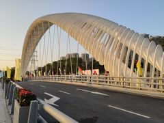 -福田红树林生态公园