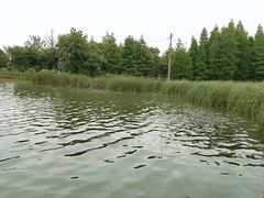 -东湖落雁景区