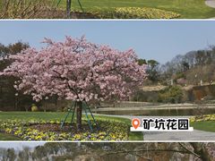 -上海辰山植物园