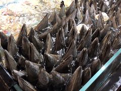 -紫阳海鲜楼·传承闽味(长乐路总店)