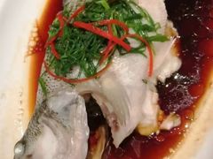 -锦粤宫·融合粤菜(上海金沙江店)