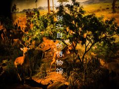 -浙江自然博物院(杭州馆)