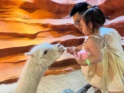 -酷嗒动物文化乐园(cutezoo西溪乐天城店)