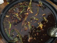 -金海椒罐罐鲢鱼(东方桂苑店)