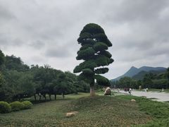 -韶山毛泽东同志故居