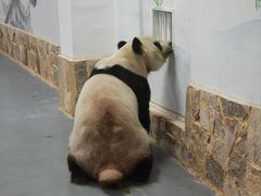 -无锡动物园·太湖欢乐园